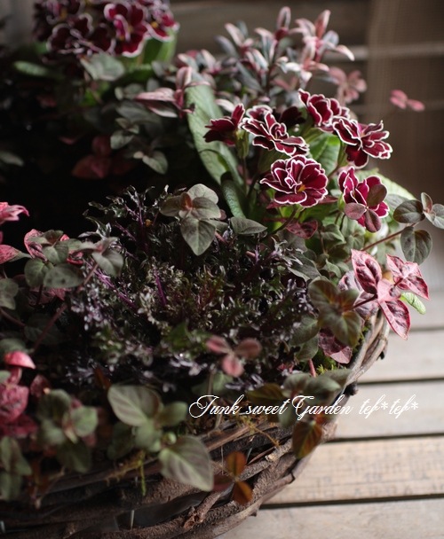 テンプレ　リースドリームメイト デュエルマスターズ】リースドリームメイト｜あまりん。