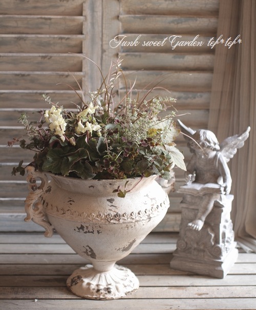 tef*tef*寄せ植え<BR>2014 * no.62 *<BR><BR>『ブラウンベージュ