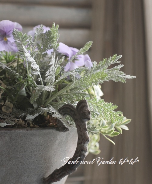 ブランテリア ゼブラオーバーニット DPB73138 – CRAMMY