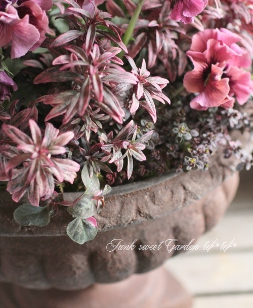 tef*tef*󤻿<BR>2015 * no37 *<BR><BR>եѥ󥸡Ƽ