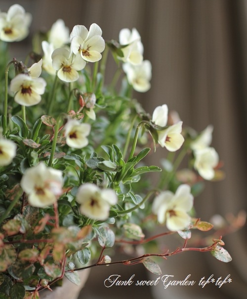 3.11 �����ƥ�.�ץ���������<BR><BR>��7�ͤξ��͡ٴ󤻿��� no.4