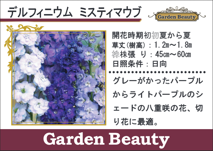 <i>Delphinium</i><BR><BR>�ǥ�ե��˥��ࡦ���֥�<BR>�إߥ��ƥ��⡼������