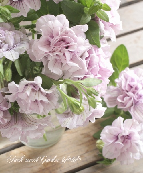 Ȭź餭ڥ˥ѥ˥إԥ󥯥