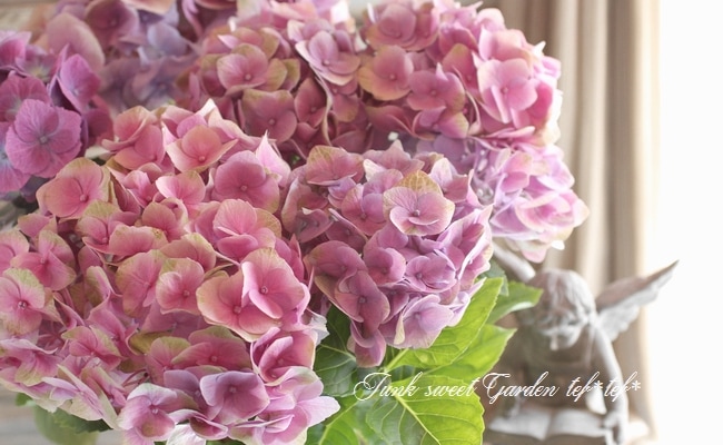 8.秋色紫陽花スワッグ 秋色紫陽花のドライフラワー横長スワッグ