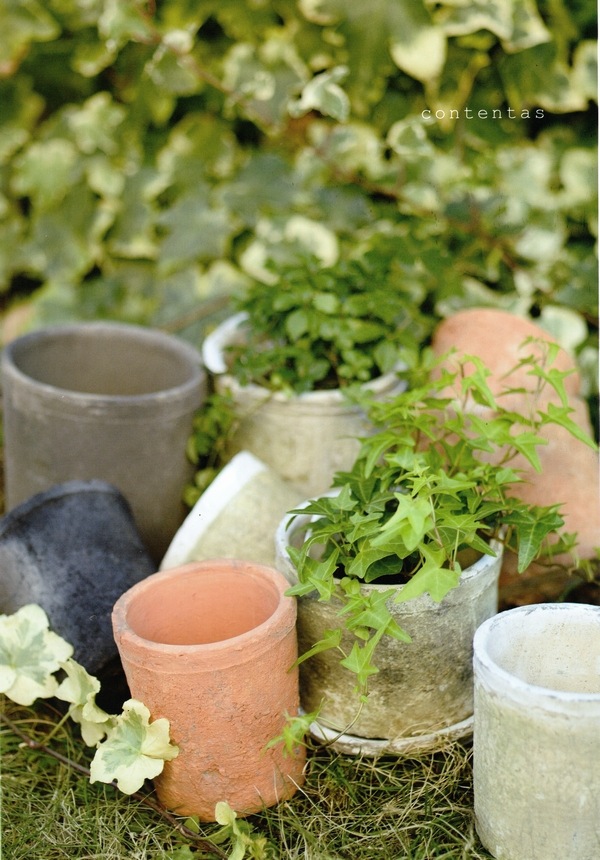 ڻߡۥƥۥ磻ȡȡ륷ݥå 13cm