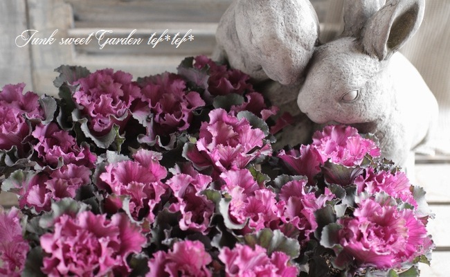 ֡Ωơߥ˥եղðإեȥǥ