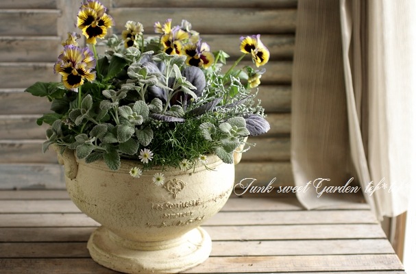 tef*tef*󤻿<BR>2015 * no.110 *<BR><BR>եѥ󥸡إ֥롼