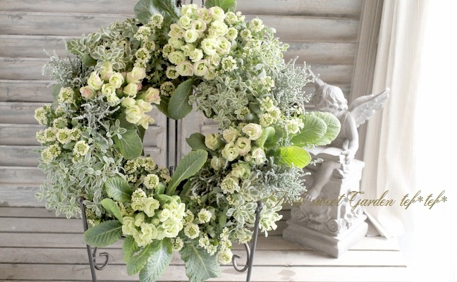 寄せ植え　 アリッサム　リース仕立て ラミウム　ハンギングリース tef*tef*寄せ植え<BR>2016 * no.1 *<BR><BR>『アリッサム×プリムラ