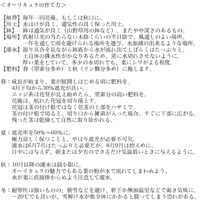 ���ʥץ��顦�����ꥭ��顡����������ɥ��֥�ϡ��إ����ꥢ�ࡦ�����