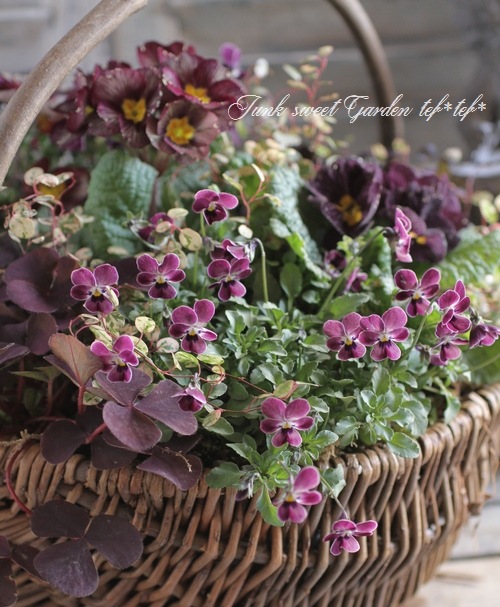 416★ガネーシャpurple モルタル雑貨　（お任せ植物付き） Amazon.com: DEVI 24pcs Assorted Gold Votive Candle Holders