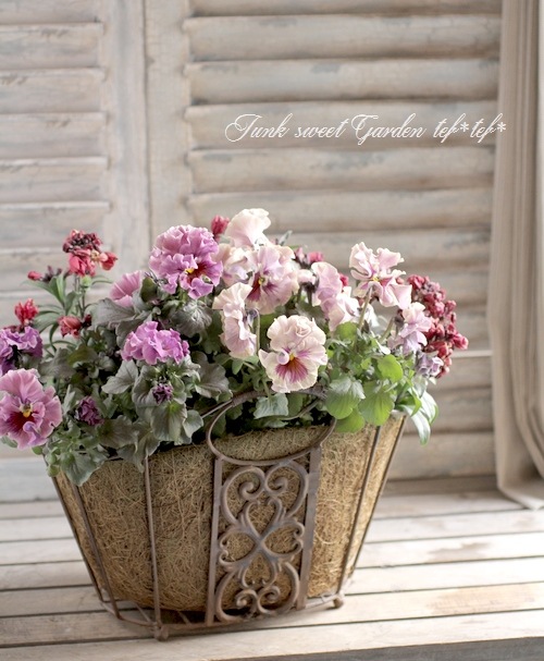 �ڻ��ߡۥ����Х�Х����åȡ� ���꡼��䥷�ޥå���