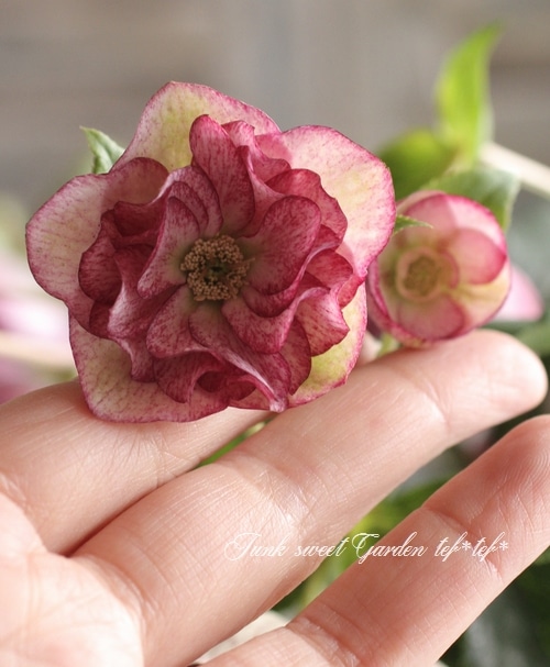 ローズ様 フロント釦ヴィンテージサテンローズプリントワンピース