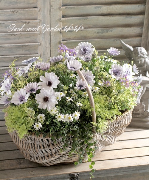 5_000000006146.jpg?1678209903