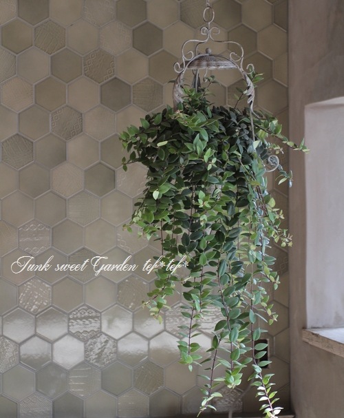 �ڴ��տ�ʪ�� �������ʥ󥵥� �إ�åɥ�������