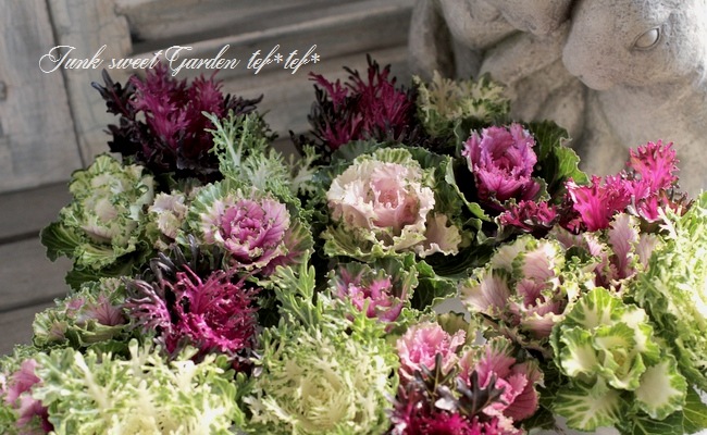 tef*tef*���̥֡�����Ω�ơ����Ȥ��ա����饭���ղ�ð���ظ��ҡ����ꥹ�ޥ�MIX��