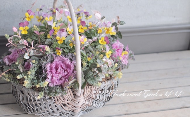 tef*tef*�󤻿��� 2016<BR> * no.71 *<BR>��ǯ��͵��Υԥ󥯡ߥ�������