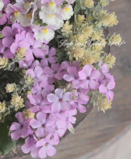 tef*tef*�󤻿��� 2017<BR> * no.12 *<BR>�տ��ԥ�