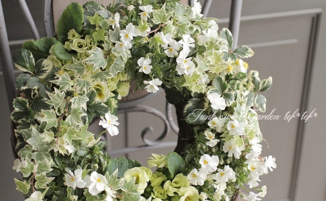 tef*tef*�󤻿��� 2017<BR> * no.16 *<BR>�ۥ磻�ȥ��꡼��Υ꡼��