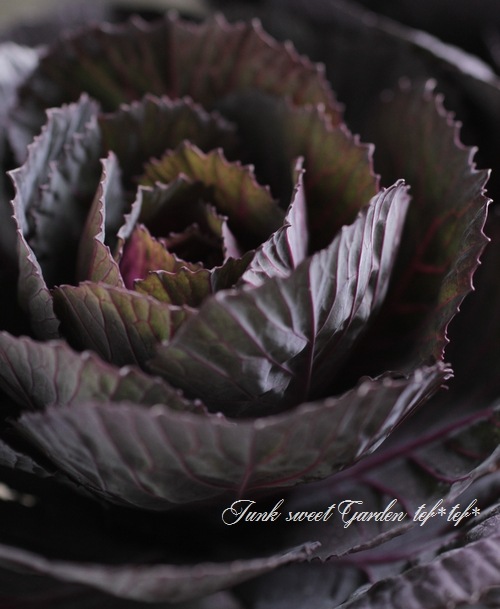 å׺餭ղð֥å륷󡡡إ٥륵