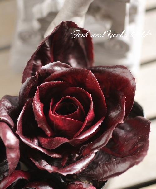 <i>Cichorium intybus</i><BR><BR>�����ȥ٥����֥�<BR>�ߤ�ȱ�ݤ���Ρإ������