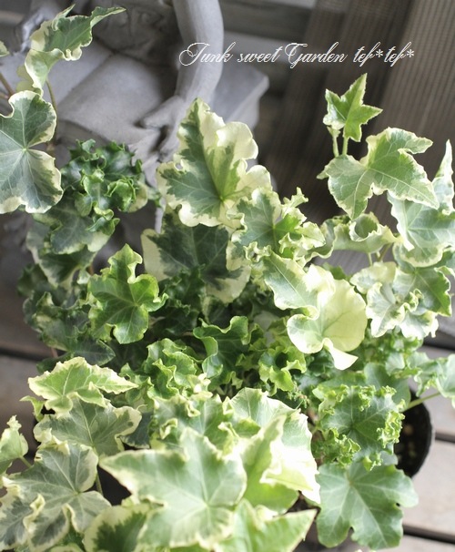 եإǥ顡إꥢ١إ塼꡼å