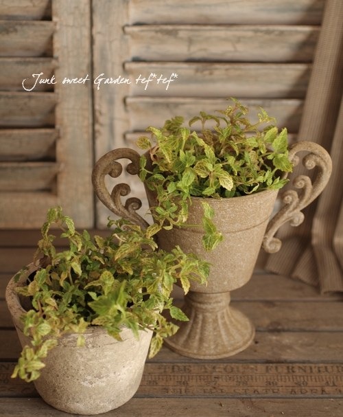 ȥ˥󥫥顼إ֥롼ѥ륹