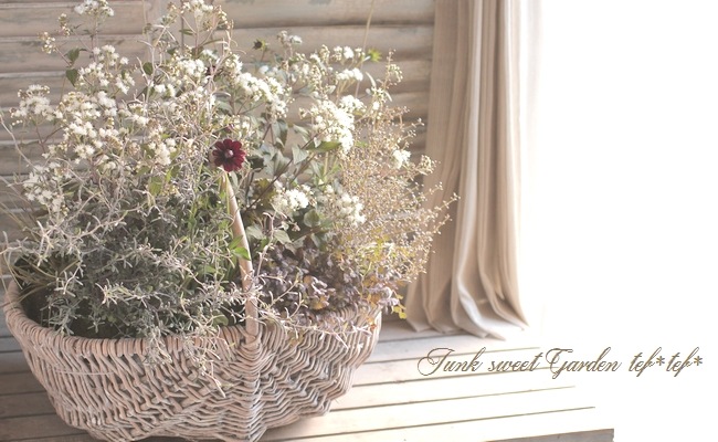 �桼�ѥȥꥦ�ࡡ�إ��祳�顼���١�