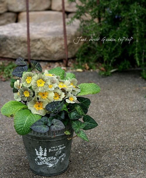 ץ顦ݥꥢ󥵡إǥХ󥰡ȥ饤ץMIX