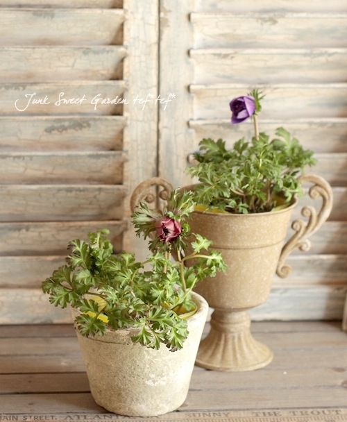 Ȭ�ź餭���ͥ�͡����ۡ��� -��ꥫ-�� MIX��