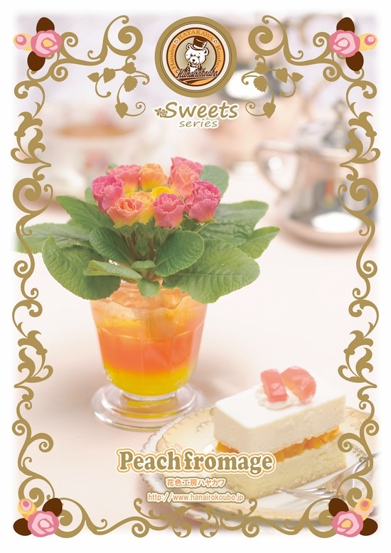 �ץ�ߥ��ࡦ�Х�餭�ʼ�ץ��顦����ꥢ�󡡡إԡ����ե��ޡ������