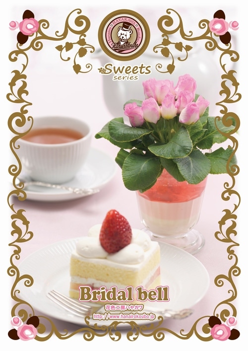 プレミアム・バラ咲き品種！ プリムラ・ジュリアン 『ブライダルベル