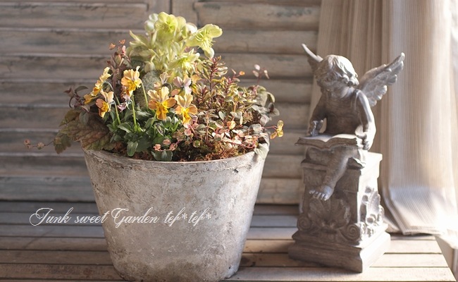 ڻߡۥƥۥ磻ȡݥå 25cm