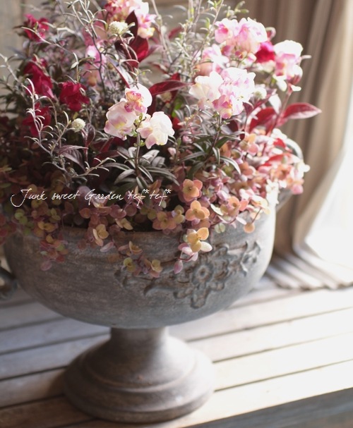 ꥭ󥮥祽إ󥷥󥰥