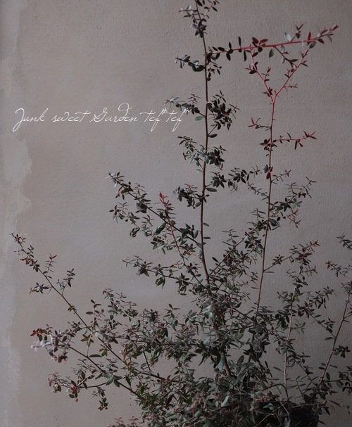 ��ץȥ��ڥ�ޥࡡ�إ��åѡ��������󡦥ƥ����ĥ꡼�١�Ƽ�դ���Ũ��