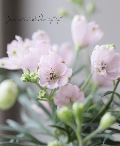 �����鿧�Υǥ�ե��˥��ࡡ�ؤ�����Ҥ��