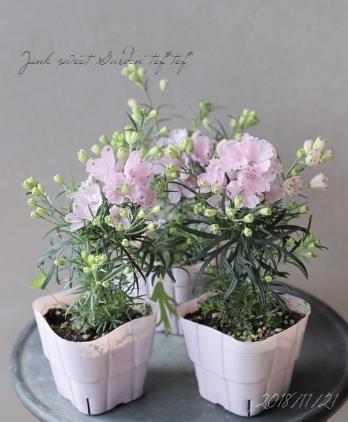 �����鿧�Υǥ�ե��˥��ࡡ�ؤ�����Ҥ��