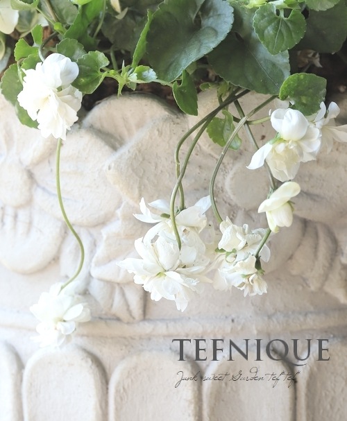 Ȭ�ź餭�ѥ�ޥ��ߥ졡�˥������ߥ졡�إ����꡼���ۥ磻�ȡ�