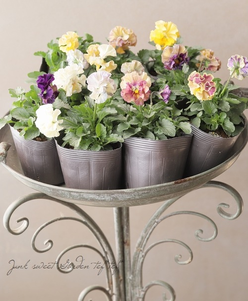 वΥѥ󥸡եǥ͡塡