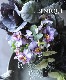 �ڴ󤻿�����-TEFNIQUE-�󤻿����꡼�� 2024 * no.14 *�������ο� �ߤη����