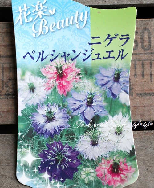 �˥��顡�إڥ륷��󡦥��奨��١��������ޤ���������������