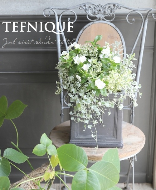 ڴ󤻿-TEFNIQUE-󤻿 2021 * no.7 *ͥʥ롦ۥ磻ȡ꡼