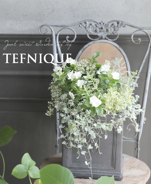 ڴ󤻿-TEFNIQUE-󤻿 2021 * no.7 *ͥʥ롦ۥ磻ȡ꡼