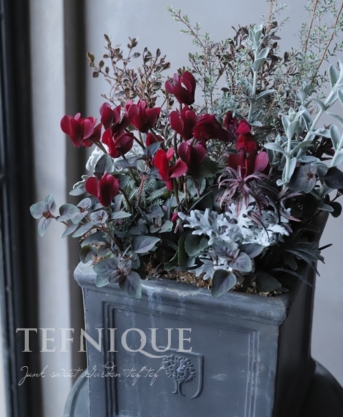 �ڴ󤻿�����-TEFNIQUE-�󤻿��� 2021 * no.10 *���إ���С���åɤʥ��ꥹ�ޥ�����