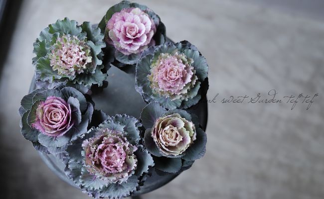 ���ղ�ð���إ�����ơ����٥���١�����