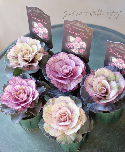 ���ղ�ð���إ�����ơ����٥���١�����