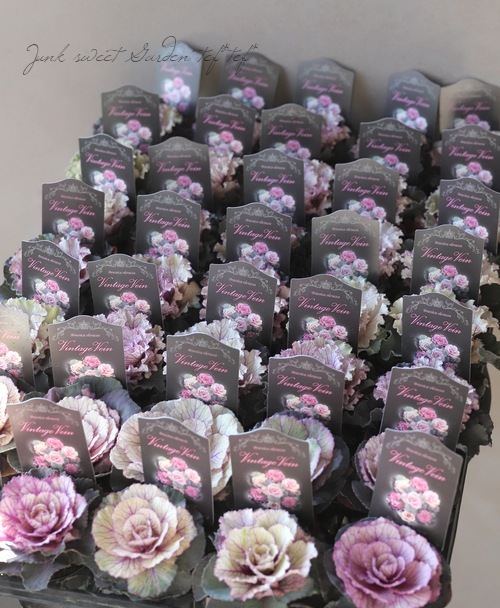 ���ղ�ð���إ�����ơ����٥���١�����