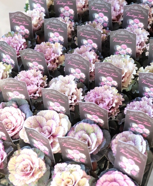 ���ղ�ð���إ�����ơ����٥���١�����