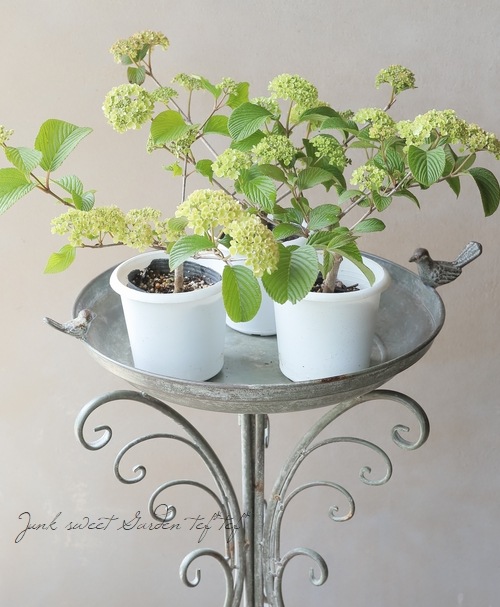 �����ǥޥꡦ�ӥС��ʥࡡ�إԥ󥯡١�