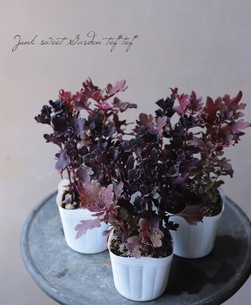 ܷϥꥦإ֥饦꡼ߥ֥١ͣɣؿ