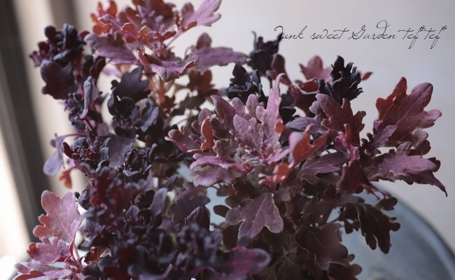 ܷϥꥦإ֥饦꡼ߥ֥١ͣɣؿ